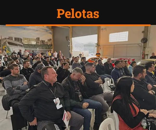 Pelotas01.webp